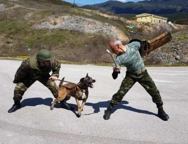 ΓΕΣ: Οι σκύλοι-κομάντο του ελληνικού Στρατού πέρασαν αξιολόγηση (φωτό)